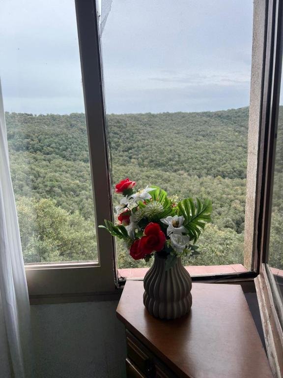 Detalle de la ventana y las vistas